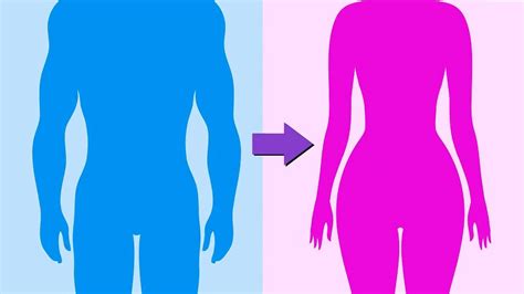 Male to Female Transition: How Hormones Transform。